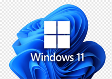 Windows 11